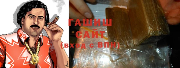 индика Яранск