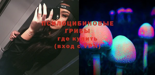 герыч Бронницы