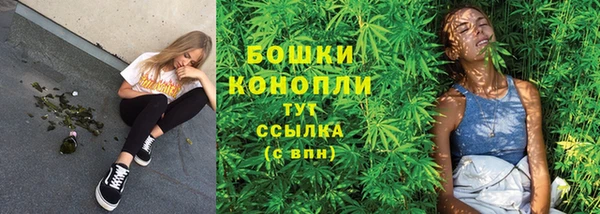 индика Яранск